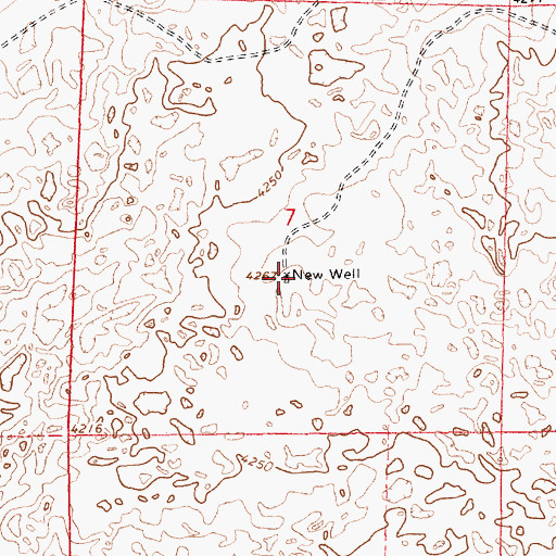 Topographic Map of New Well, NM