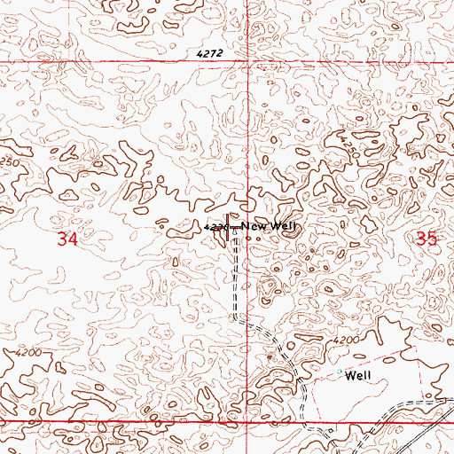 Topographic Map of New Well, NM