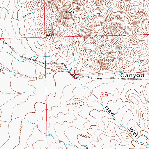 Topographic Map of New Well Canyon, NM