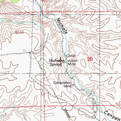 Topographic Map of Nichols Spring, NM
