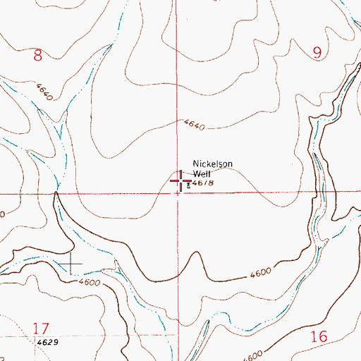 Topographic Map of Nickelson Well, NM