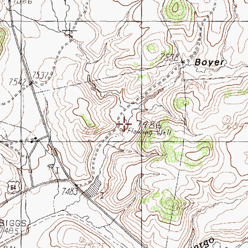 Topographic Map of North Boyer Gulch, NM