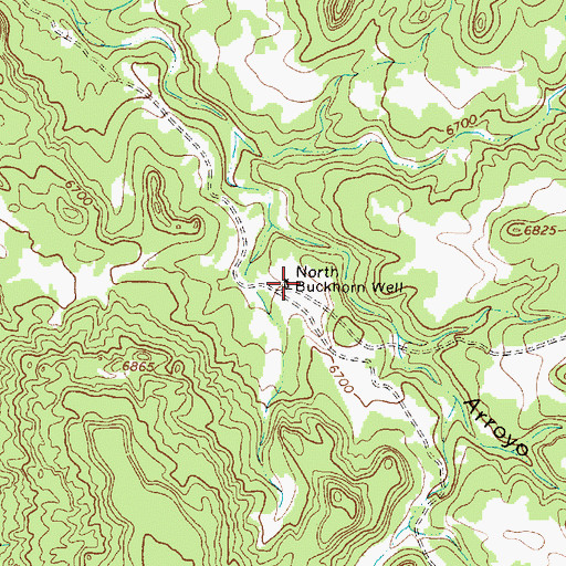 Topographic Map of North Buckhorn Well, NM