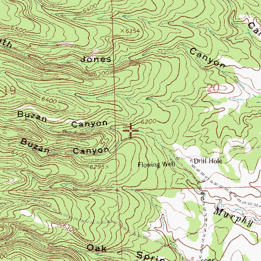 Topographic Map of North Buzan Canyon, NM