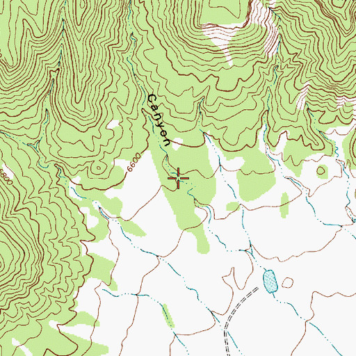 Topographic Map of North Curtis Canyon, NM