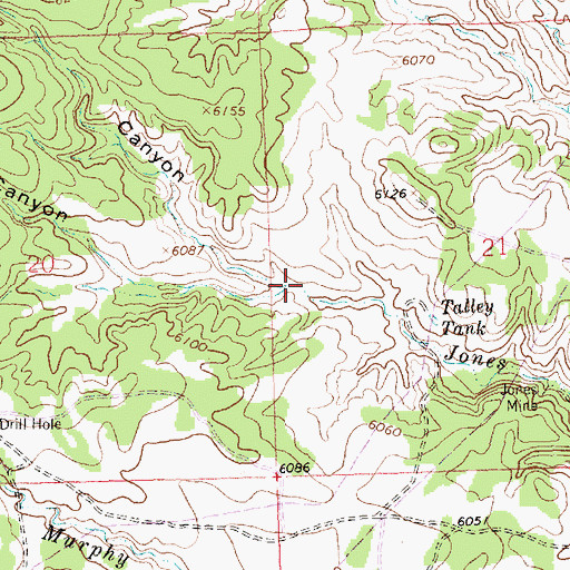 Topographic Map of North Jones Canyon, NM