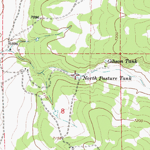 Topographic Map of North Pasture Tank, NM