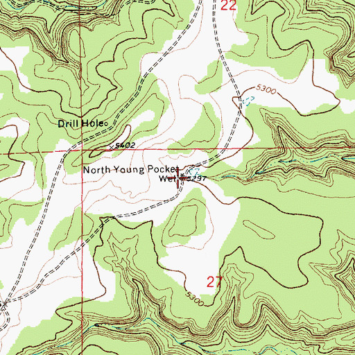 Topographic Map of North Young Pocket Well, NM