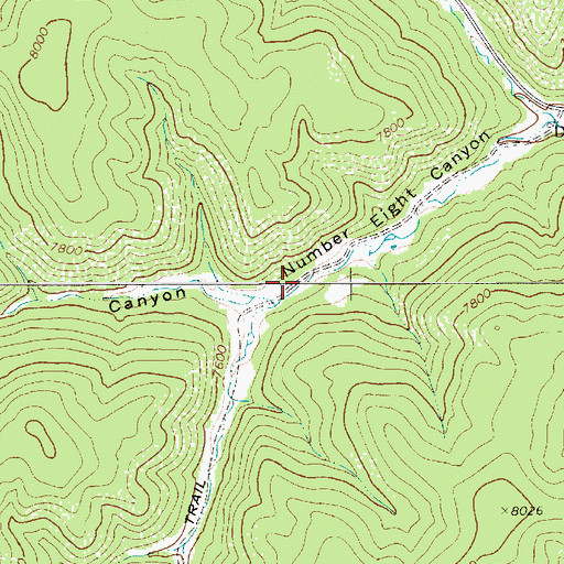 Topographic Map of Number Eight Canyon, NM