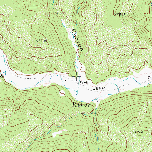 Topographic Map of Number Five Canyon, NM