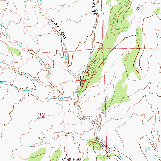 Topographic Map of Oak Springs Canyon, NM