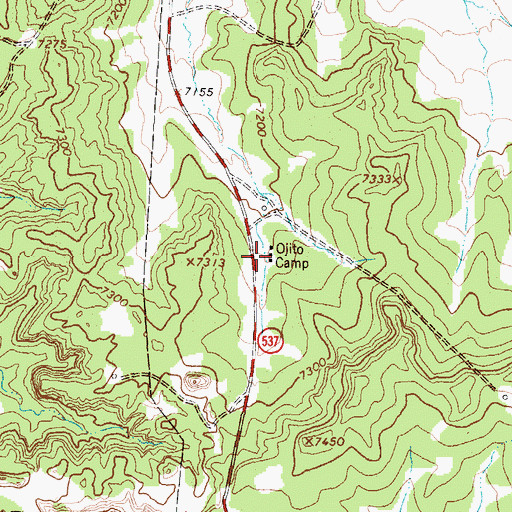 Topographic Map of Ojito Camp, NM