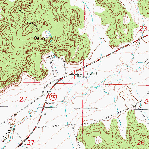 Topographic Map of Ojito Well, NM