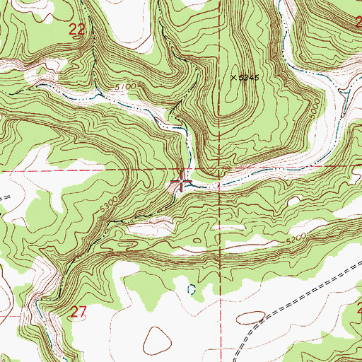 Topographic Map of Ojitos Draw, NM