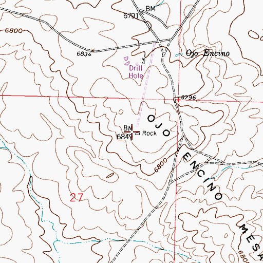 Topographic Map of Ojo Encino Mesa, NM
