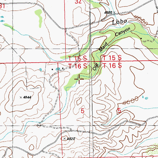 Topographic Map of Old Maid Canyon, NM