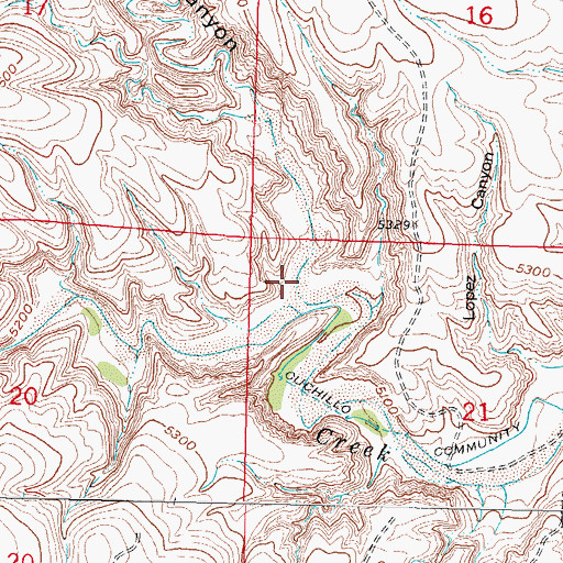 Topographic Map of Old Mill Canyon, NM