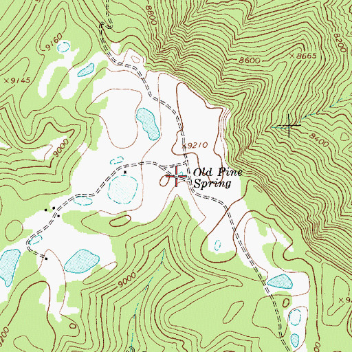 Topographic Map of Old Pine Spring, NM