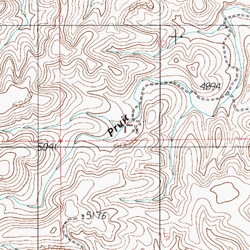 Topographic Map of Old Pruit Ranch, NM