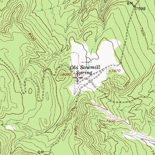 Topographic Map of Old Sawmill Spring, NM