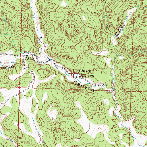 Topographic Map of Onion Spring, NM