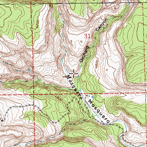 Topographic Map of Orchard Canyon, NM