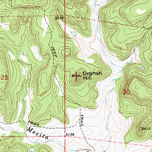 Topographic Map of Orphan Hill, NM