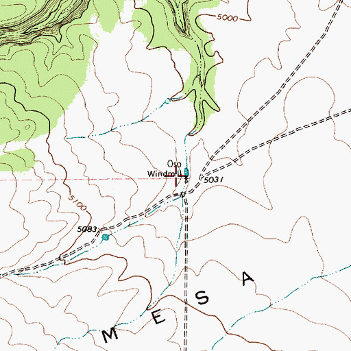 Topographic Map of Oso Windmill, NM