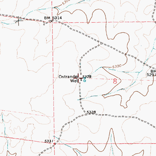 Topographic Map of Ostrander Well, NM