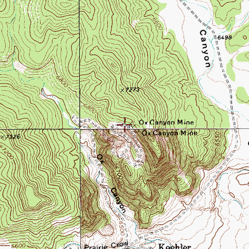 Topographic Map of Ox Canyon Mine, NM