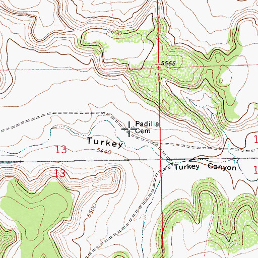 Topographic Map of Padilla Cemetery, NM