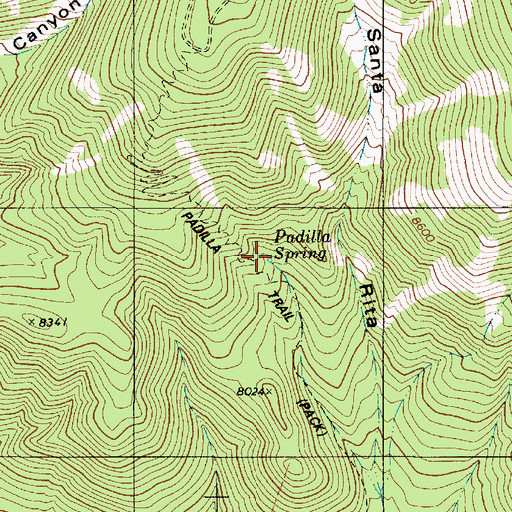 Topographic Map of Padilla Spring, NM