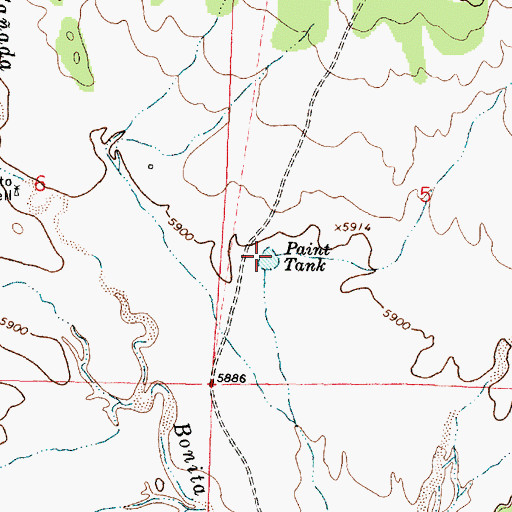 Topographic Map of Paint Tank, NM