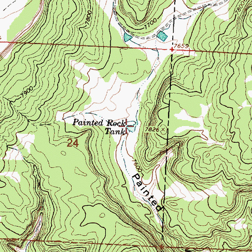 Topographic Map of Painted Rock Tank, NM