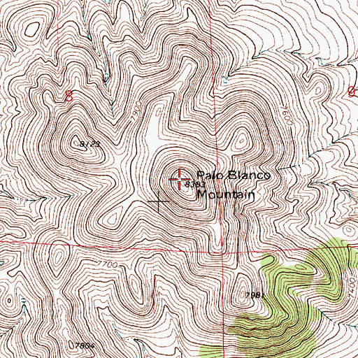 Topographic Map of Palo Blanco Mountain, NM
