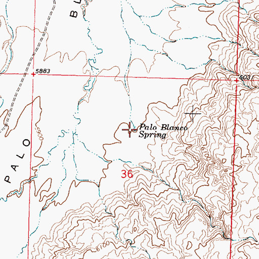 Topographic Map of Palo Blanco Spring, NM