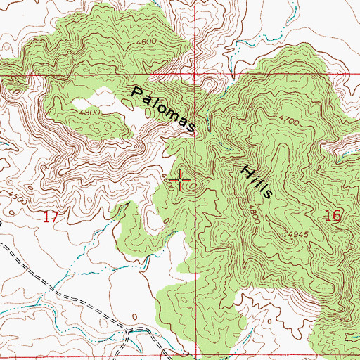 Topographic Map of Palomas Hills, NM