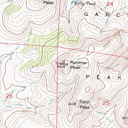 Topographic Map of Panther Peak, NM