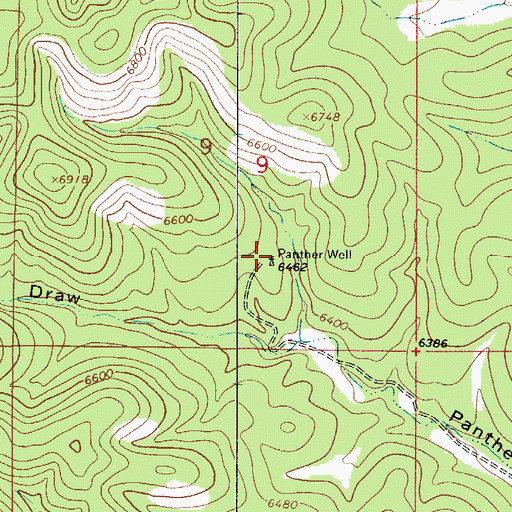 Topographic Map of Panther Well, NM
