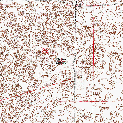 Topographic Map of Parker Lake, NM