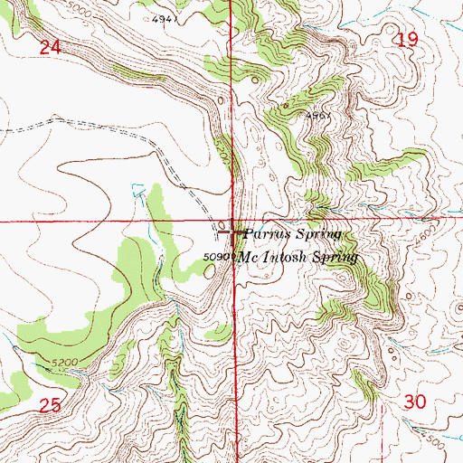 Topographic Map of Parras Spring, NM