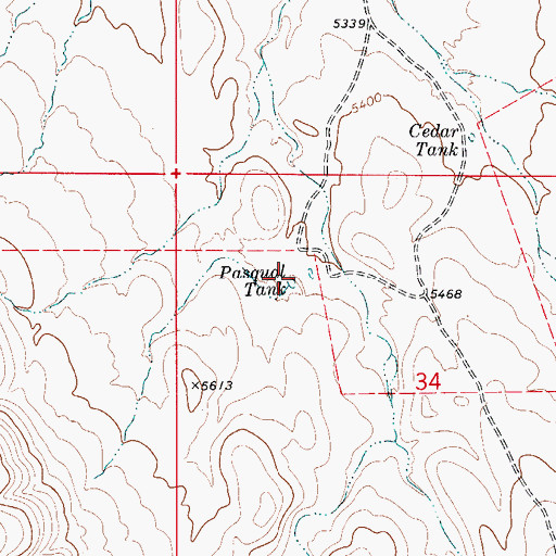 Topographic Map of Pasqual Tank, NM