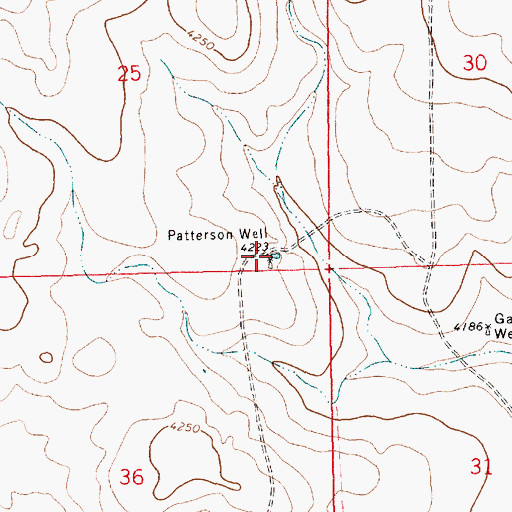 Topographic Map of Patterson Well, NM