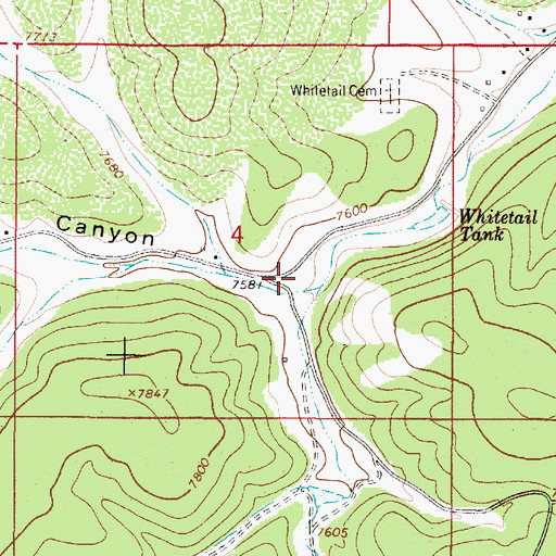 Topographic Map of Pauls Canyon, NM