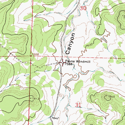 Topographic Map of Payne Windmill, NM