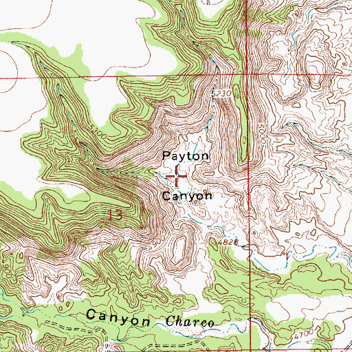 Topographic Map of Payton Canyon, NM