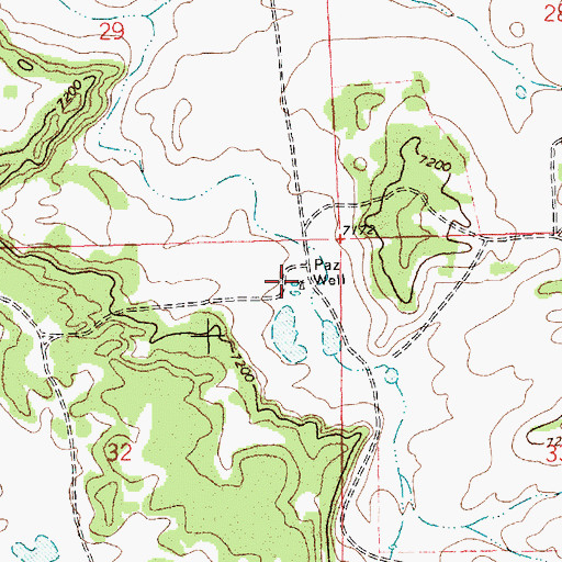 Topographic Map of Paz Well, NM