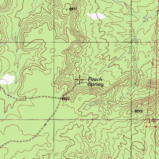 Topographic Map of Peach Spring, NM