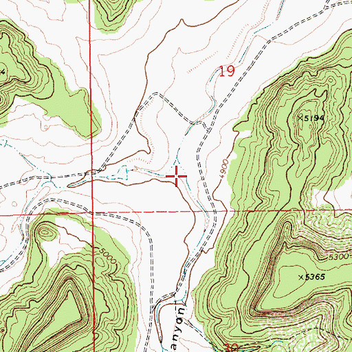 Topographic Map of Peacock Canyon, NM