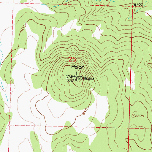 Topographic Map of Pelon, NM